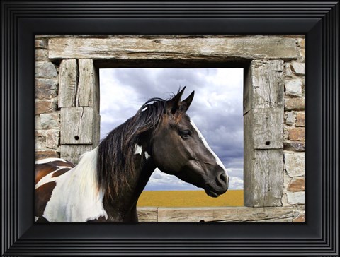 Framed Painted Horse Print