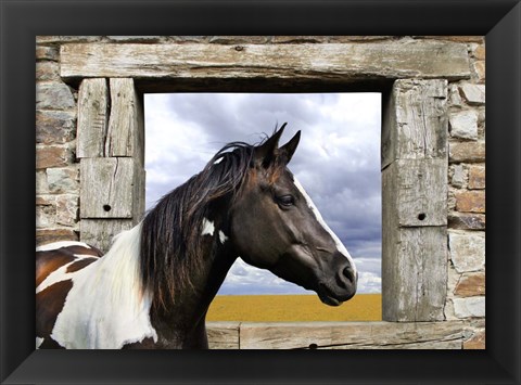 Framed Painted Horse Print