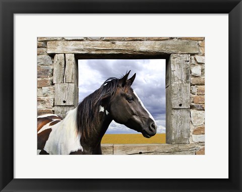 Framed Painted Horse Print