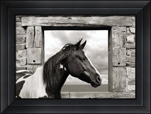 Framed Painted Horse (BW) Print