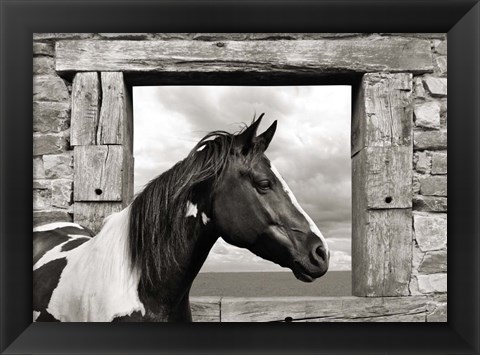 Framed Painted Horse (BW) Print