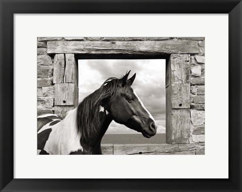 Framed Painted Horse (BW) Print