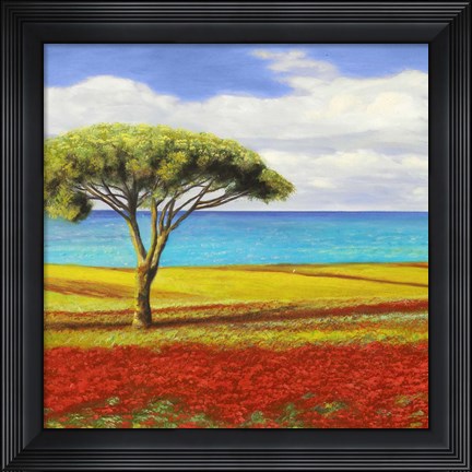 Framed Mediterraneo I Print