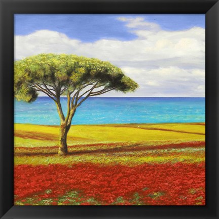 Framed Mediterraneo I Print