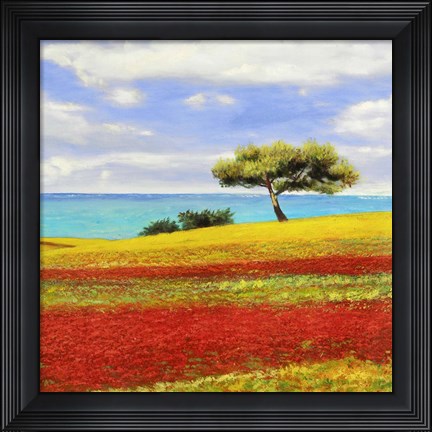 Framed Mediterraneo II Print
