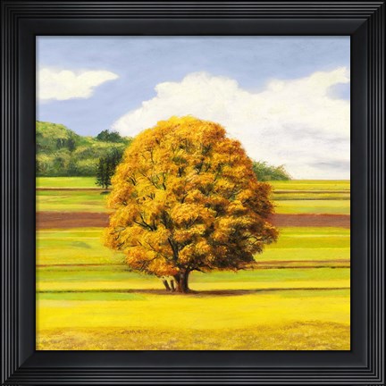 Framed Pianure Serene I (detail) Print