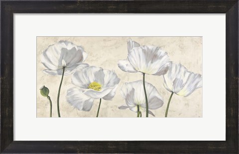 Framed Poppies in White Print