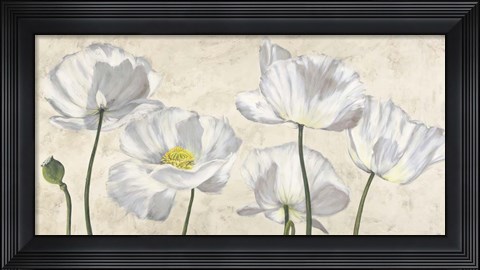 Framed Poppies in White Print
