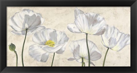 Framed Poppies in White Print