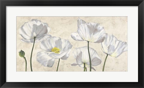 Framed Poppies in White Print