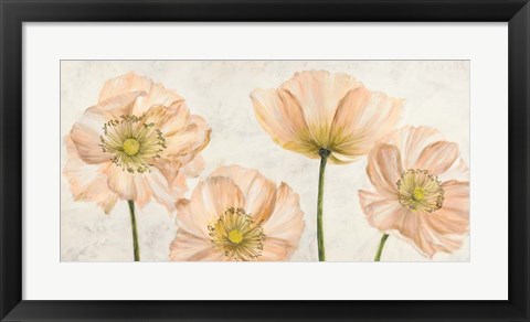 Framed Poppies in Pink Print