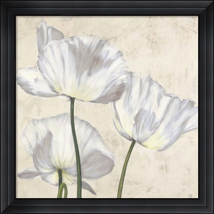 Framed Poppies in White II Print