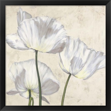 Framed Poppies in White II Print