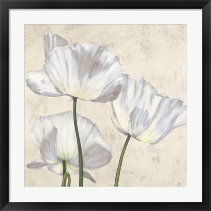 Framed Poppies in White II Print