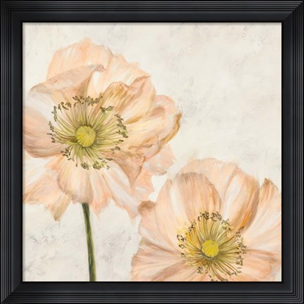 Framed Poppies in Pink I Print