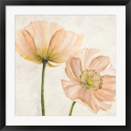 Framed Poppies in Pink II Print