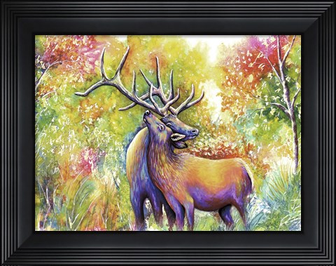 Framed Elk Love Print