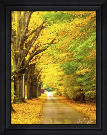 Framed Autumn Gold Print
