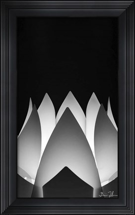 Framed Flower Abstract Print