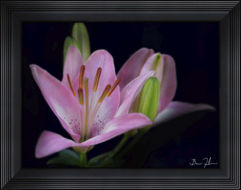 Framed Intimate Print