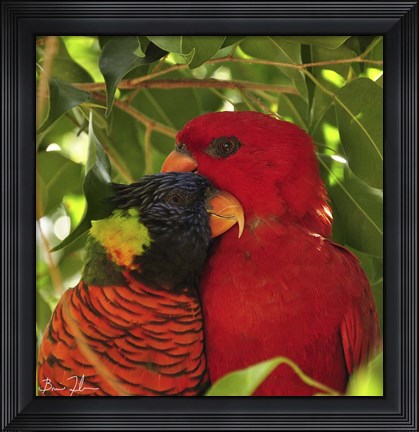 Framed Sticking Together Print