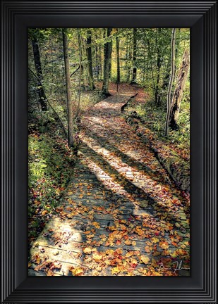 Framed Walking The Path Print