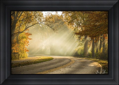 Framed Autumn Drive Print