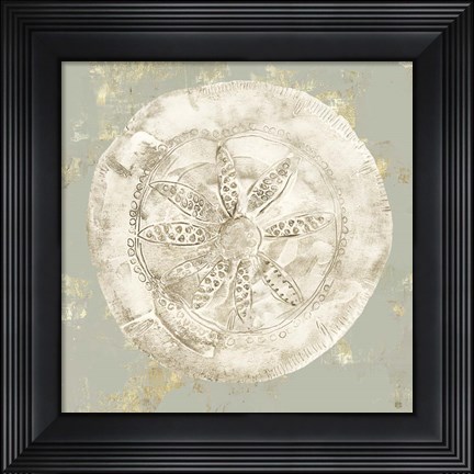 Framed Cone Shells I Print