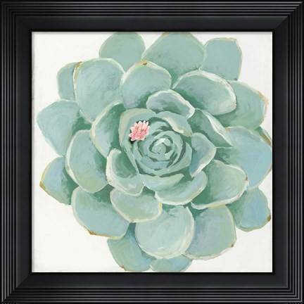 Framed Pastel Succulent I Print