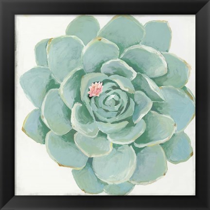 Framed Pastel Succulent I Print