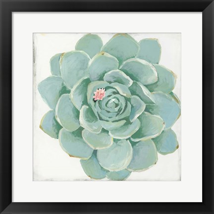 Framed Pastel Succulent I Print