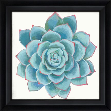 Framed Pastel Succulent II Print