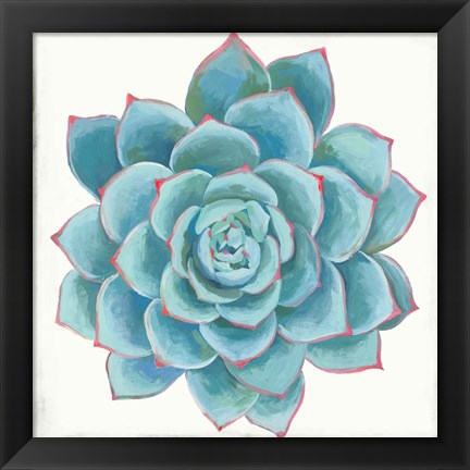 Framed Pastel Succulent II Print