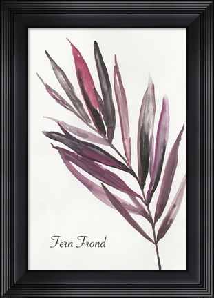 Framed Fern Frond Print