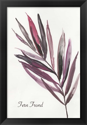 Framed Fern Frond Print