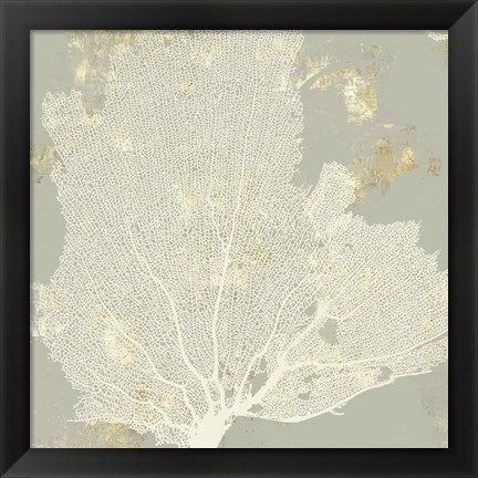 Framed Sea Coral I Print