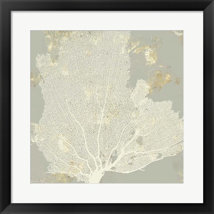 Framed Sea Coral I Print