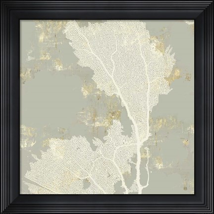 Framed Sea Coral II Print