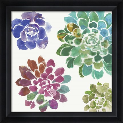 Framed Water Succulents II Print