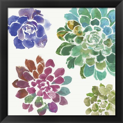 Framed Water Succulents II Print