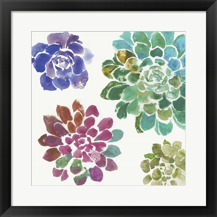 Framed Water Succulents II Print