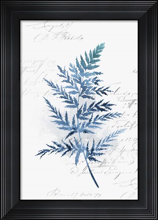 Framed Botanical Blue I Print