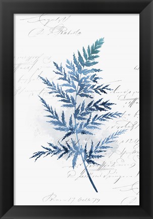 Framed Botanical Blue I Print