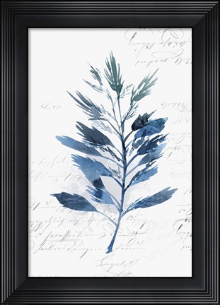 Framed Botanical Blue II Print