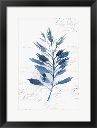 Framed Botanical Blue II Print