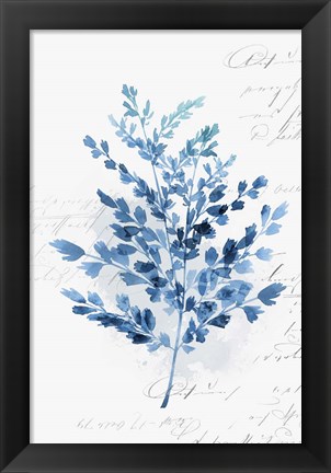 Framed Botanical Blue III Print