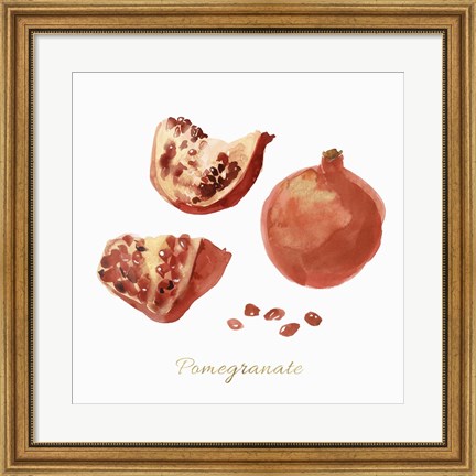 Framed Pomegranate Print