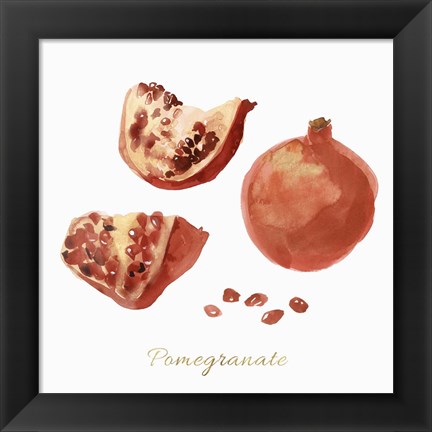 Framed Pomegranate Print