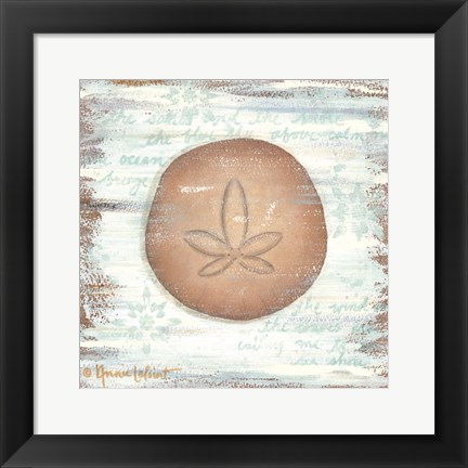 Framed Ocean Sand Dollar Print
