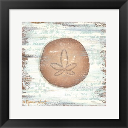 Framed Ocean Sand Dollar Print